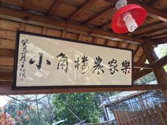 -张鸟园农家乐(张鸟园店)