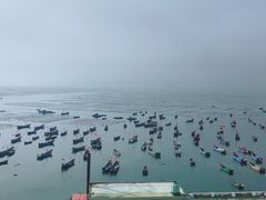 -枸杞岛