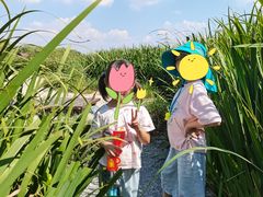 -永定河休闲森林公园