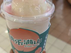 -桃乐满山(川沙百联店)