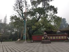 -峨眉山报国寺