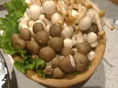 -大龙燚火锅