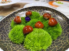 -鹿园 MOOSE(长宁店)