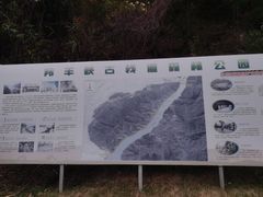-羚羊峡古栈道森林公园