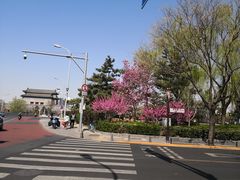 -德胜公园