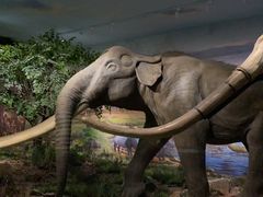 -湖南省地质博物馆