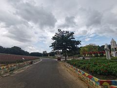 -松山湖南湖湾露营营地