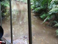 -热带雨林自然公园