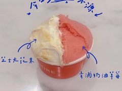 -Dal Cuore 达可芮冰淇淋(陕西北路店)