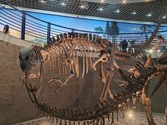 -国家自然博物馆