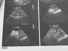-安安宠医·臻爱宠物医院·宠保定点(营门口路分院)