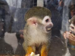 -石家庄市动物园