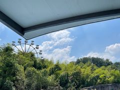 -宁波野生动物园