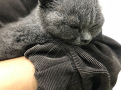 -佳雯宠物医院(四明中路分院)