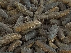 -恒达综合农贸市场(黄山路店)