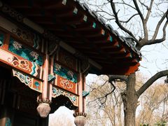 -济南大明湖景区