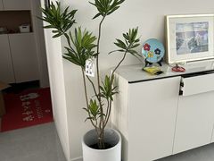 -长安大学(北校区)