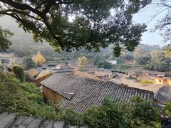 -杨家堂村