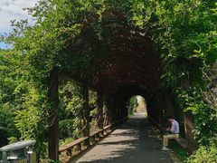 -苏州太湖国家湿地公园
