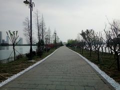 -艾溪湖湿地公园