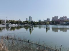 -葛仙湖公园