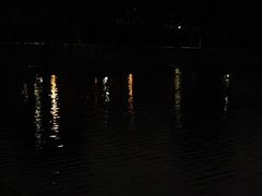 -羊山湖公园