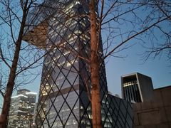 -中央广播电视总台(光华路办公区)