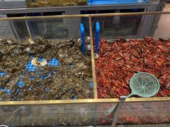 -半岛听涛蒸汽海鲜自助(K11店)