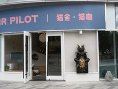 门面-飞行喵MR PILOT|猫舍·猫咖(静安大融城店)