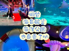 -烟台海昌鲸鲨海洋公园