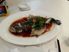 -有腥气私房菜·寻味顺德