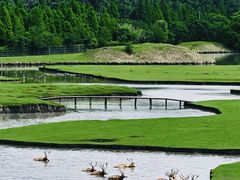 -溱湖国家湿地公园