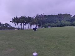 -深圳湾公园(南山区)
