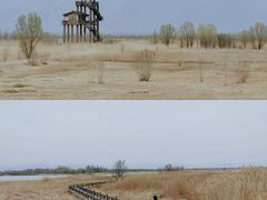 -野鸭湖国家湿地公园