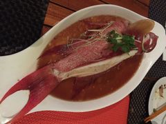 毛里求斯小四川饭店-毛里求斯小四川餐厅总店
