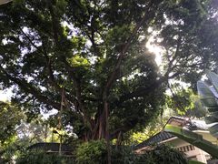 -晓港公园