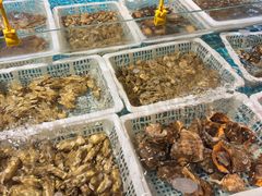 -舟小鲜·舟山小渔村(凤城四路中登广场店)