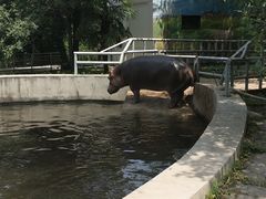 -西安秦岭野生动物园