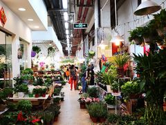 -双季花艺园艺市场(浦东店)