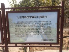 -北京鹫峰国家森林公园
