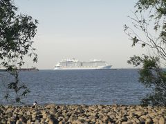 -吴淞炮台湾湿地森林公园烧烤区