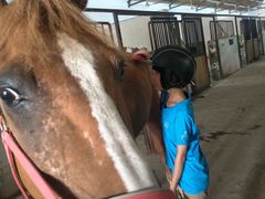 -松声马术俱乐部