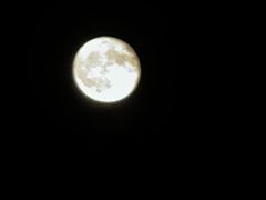 -星巴克(西安博乐里店)