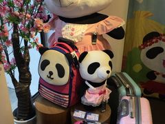 -熊猫屋(宽窄巷子景区店)