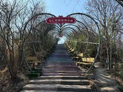 -马仁奇峰
