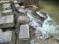 -广州白江湖森林公园