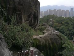 -金鸡山公园