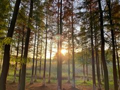 -艾溪湖湿地公园