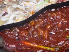 -乖嬢嬢重庆老火锅(南联店)