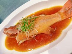 -望乡楼上海菜(日月光店)